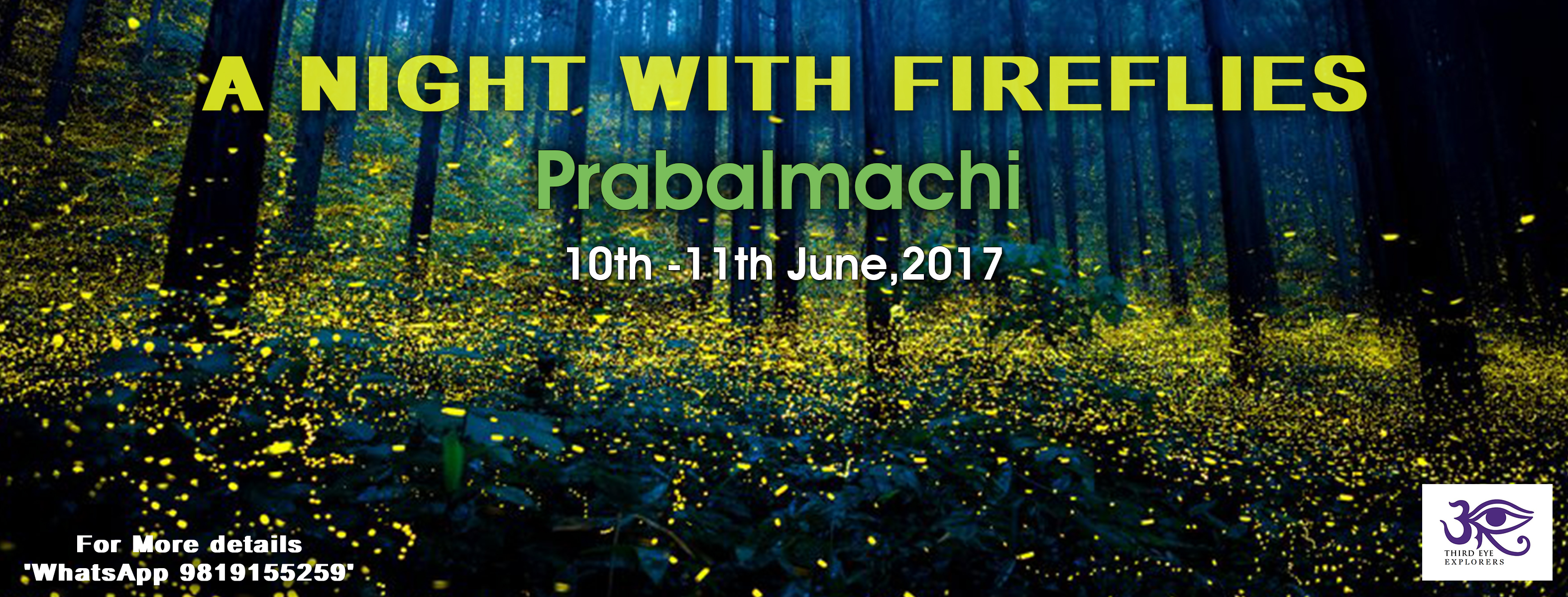 Fireflies at Prabalmachi
